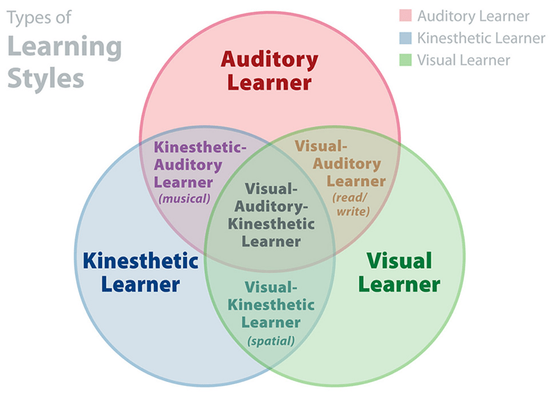 Vark model learning styles venn diagram