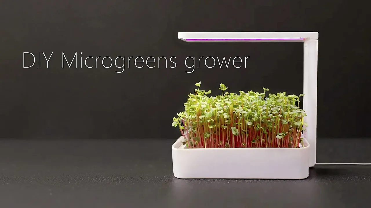 Microgreens Grower