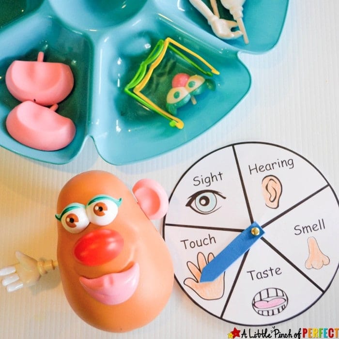 Mr. Potato Head's 5 Senses Adventure