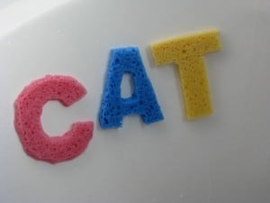 Alphabet Sponge Letters