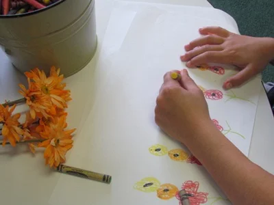 Still Life Flower Drawings