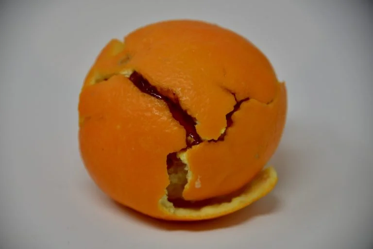 Orange Peel Plate Tectonic