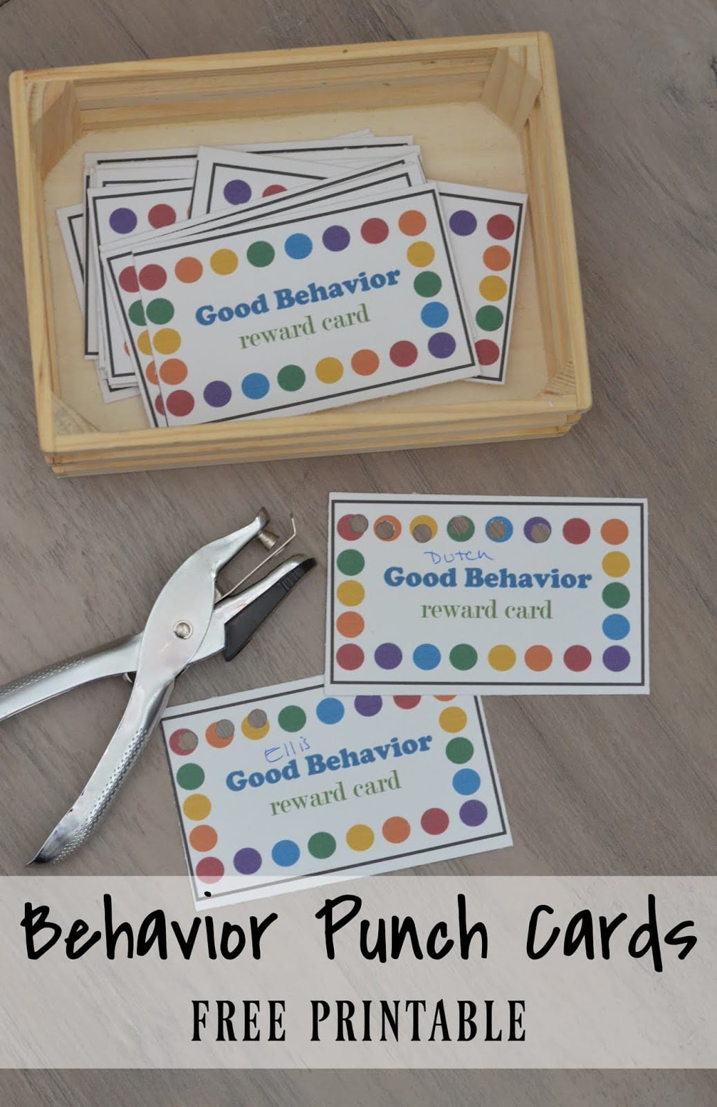 Behavior Punch Cards