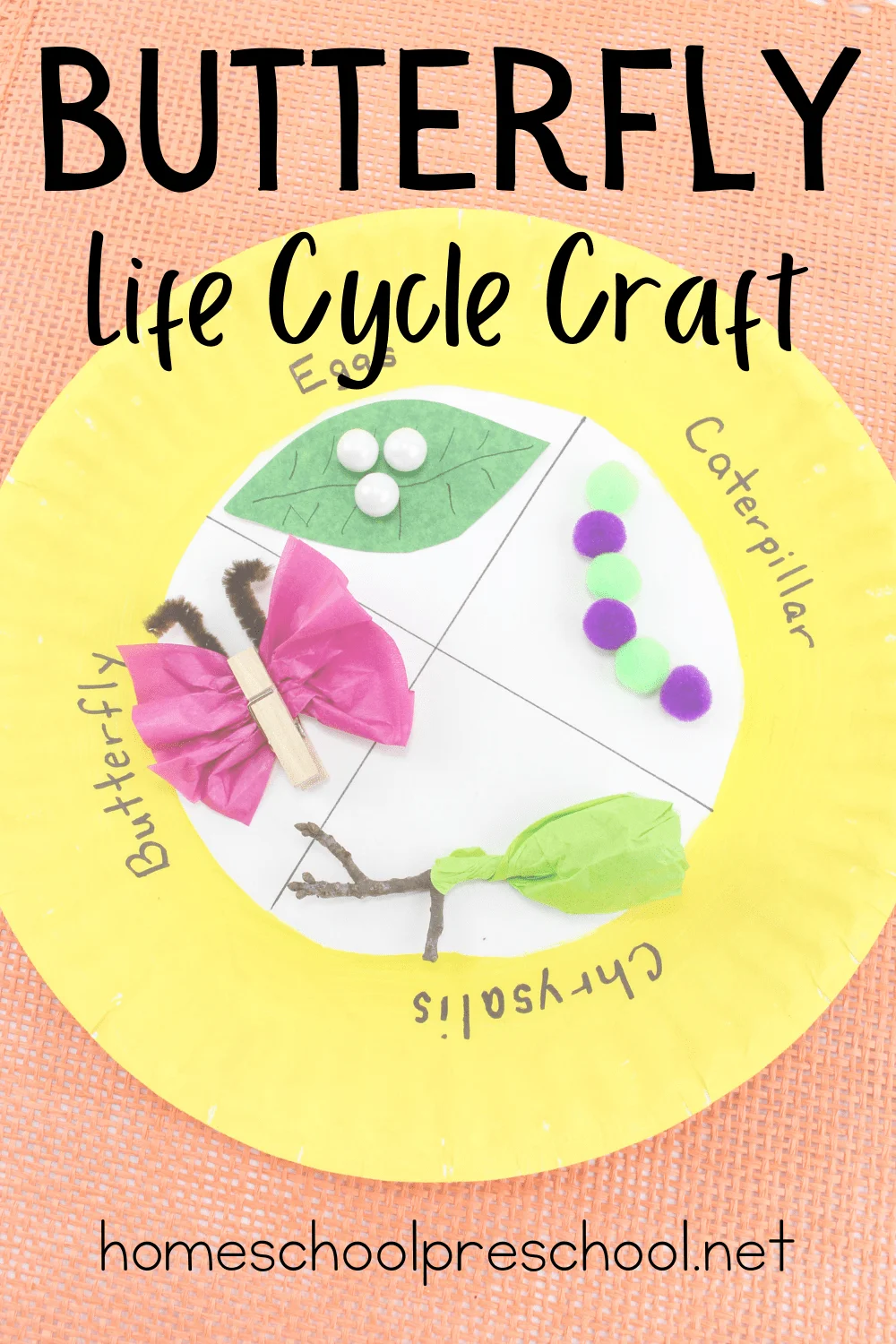 Life Cycle of a Butterfly Craft