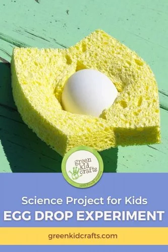 Sponge Egg Drop