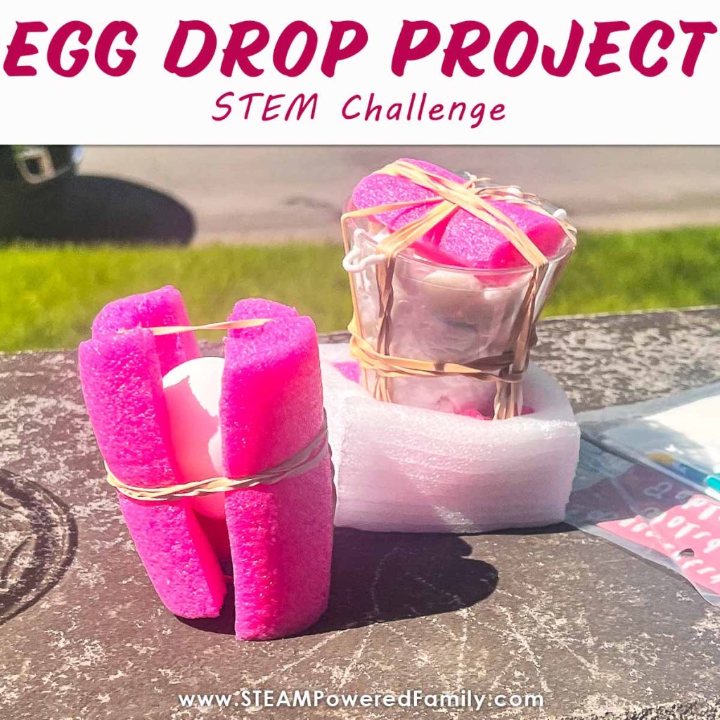 27 Fun & Creative Egg Drop Challenge Ideas - Education Corner