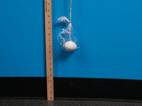 Egg Bungee