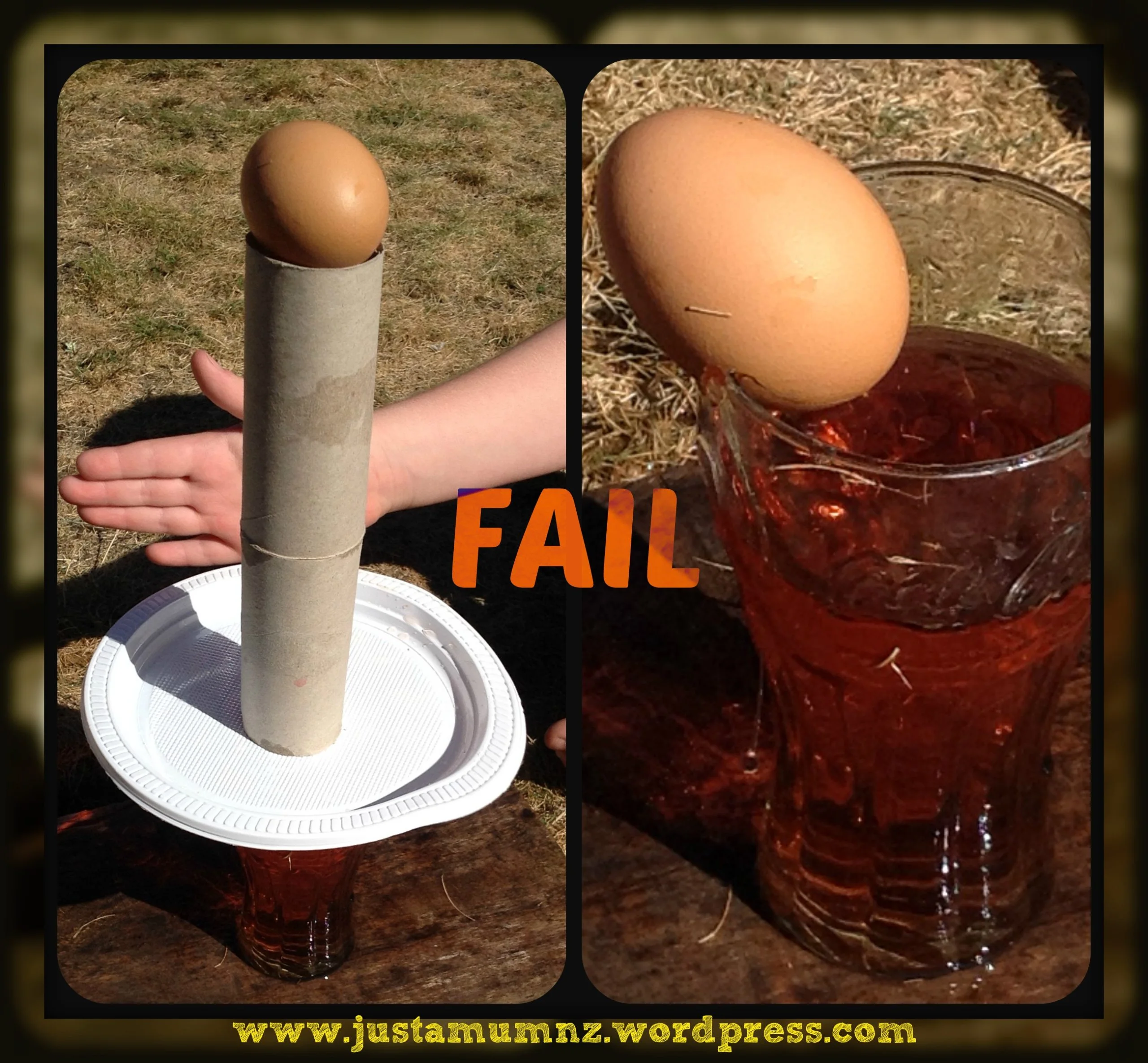  2-Layered Toilet Paper Tube Egg Drop