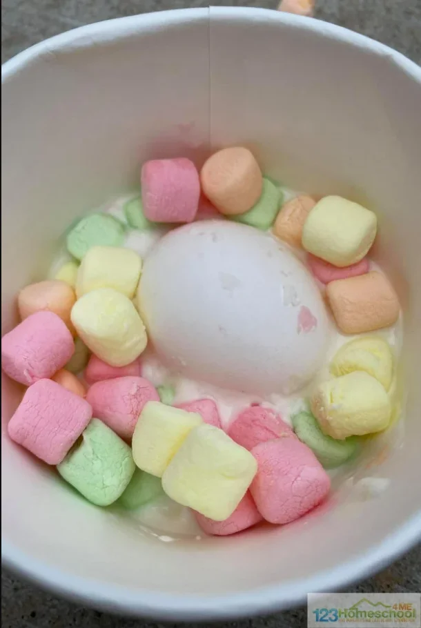 Marshmallow Cup Egg Drop