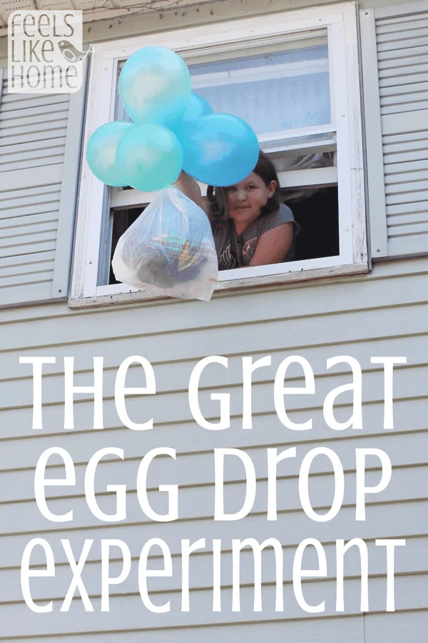 Common Craft Egg Drop