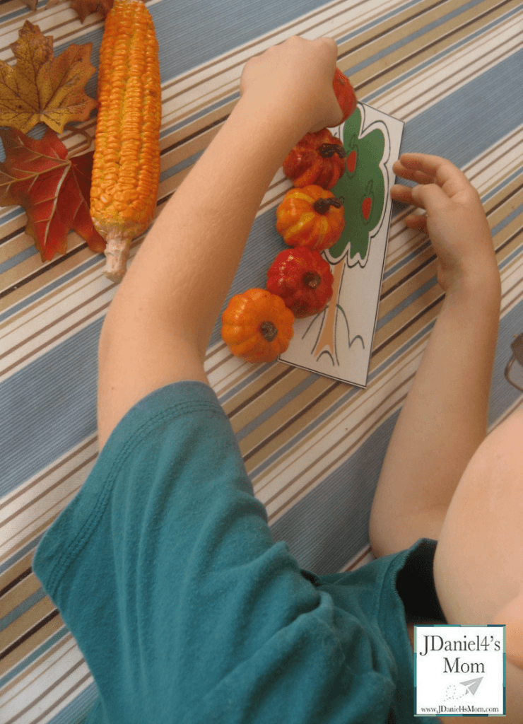 Measuring in Farm Units