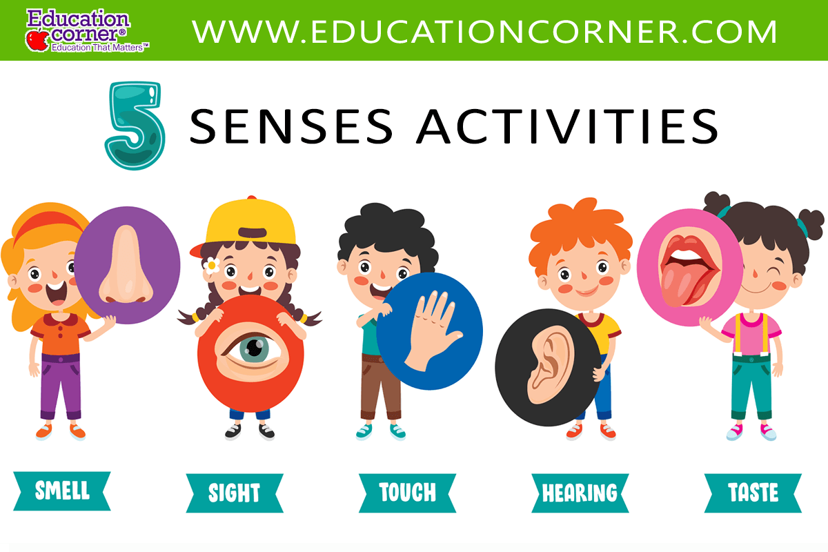 five senses activities