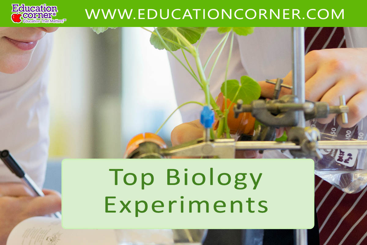 biology research topics for experiments