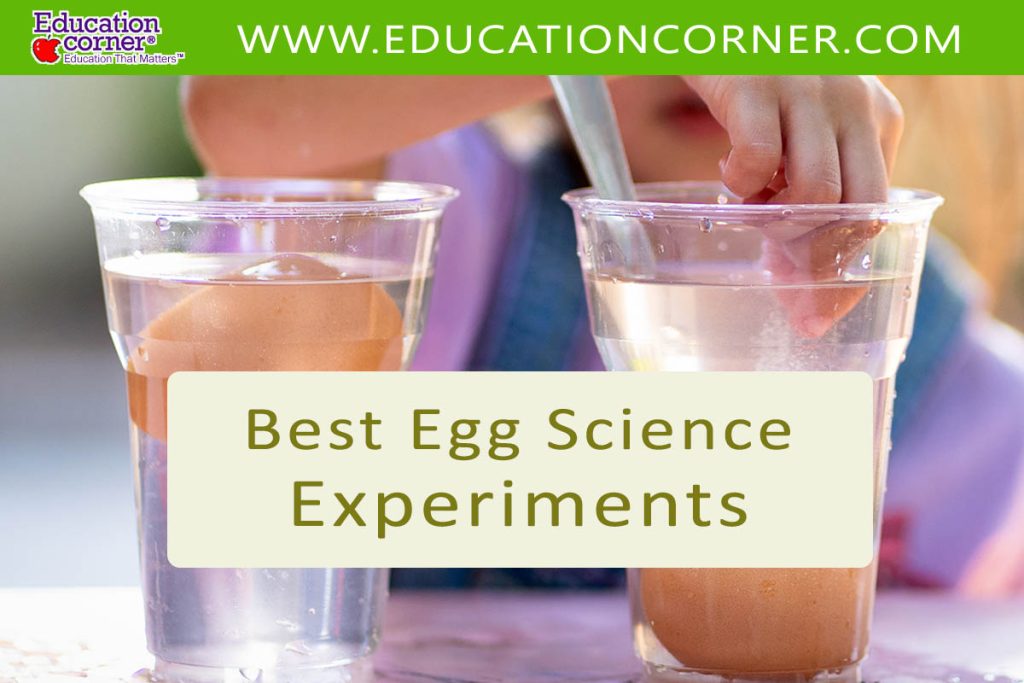 children's egg experiments