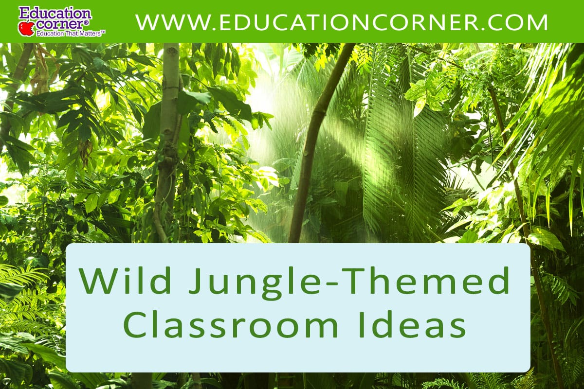 Jungle related classroom decoration ideas