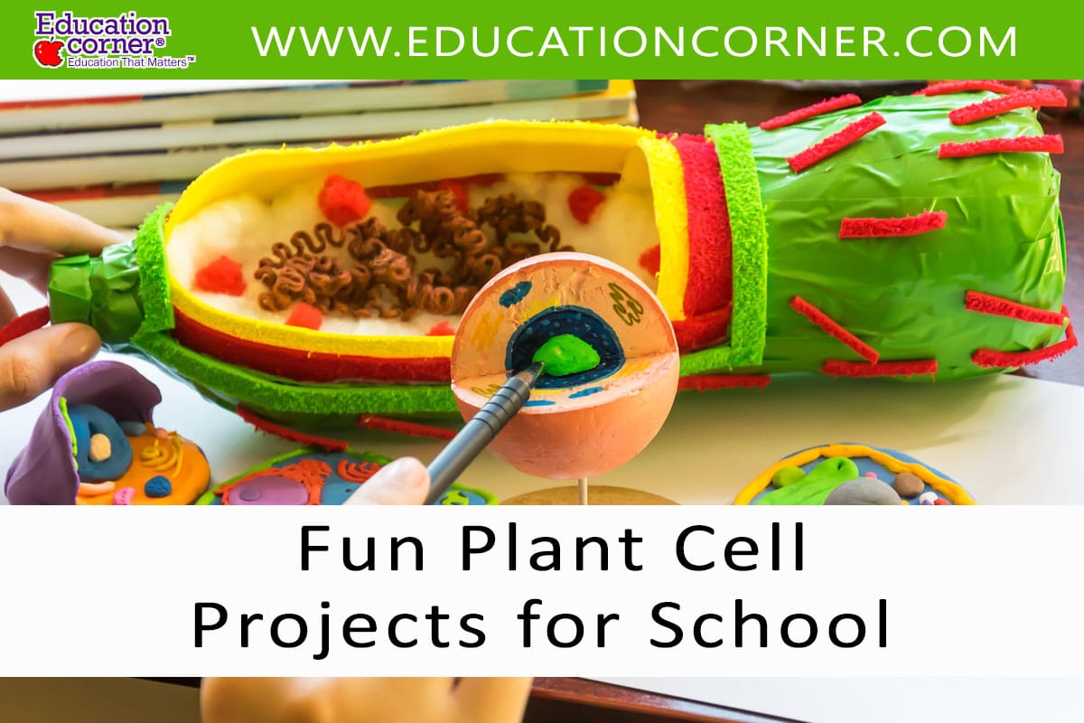 Plant cell projects