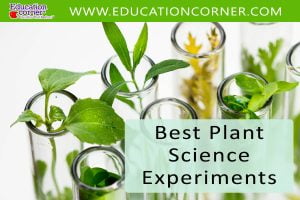 growing plant science experiment