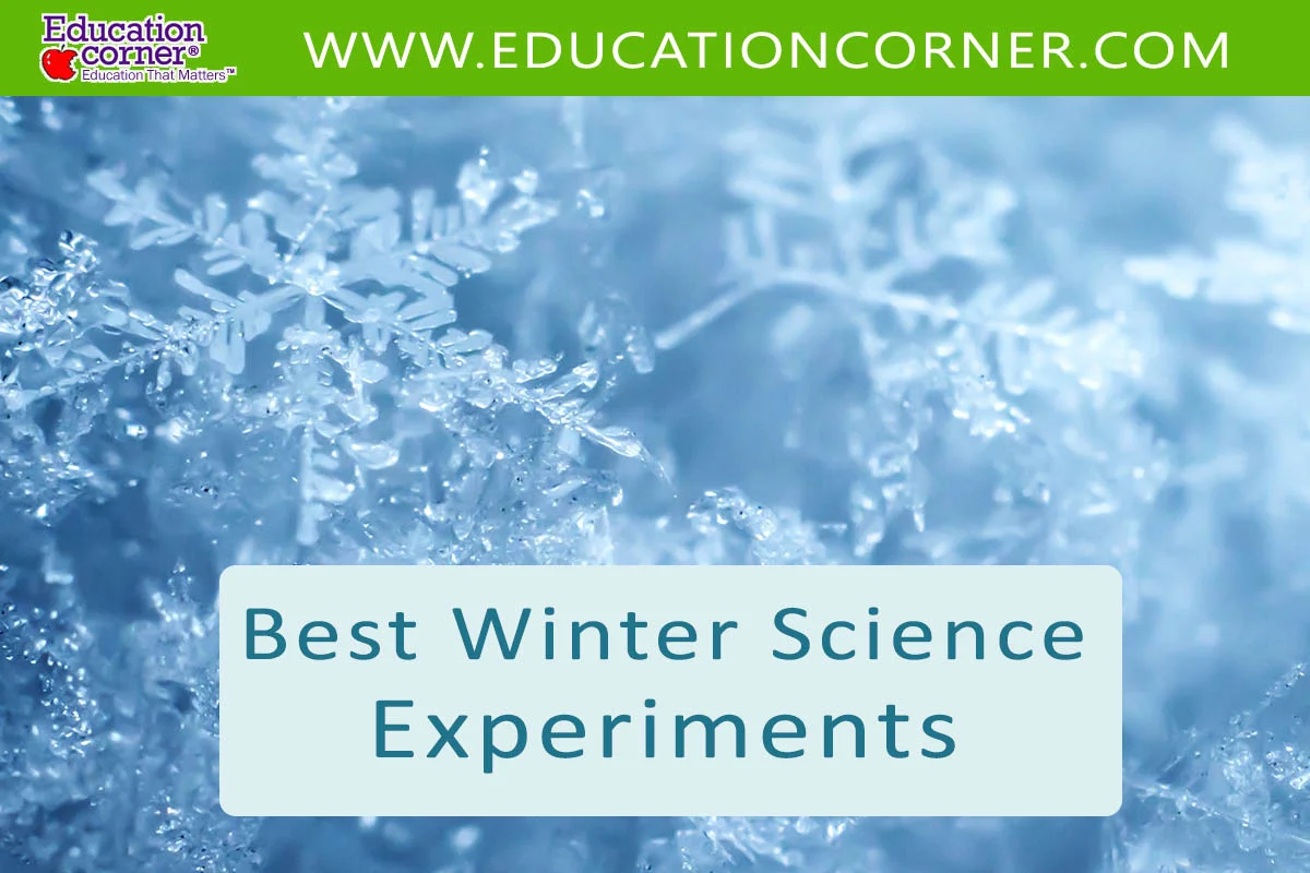 Winter science experiments