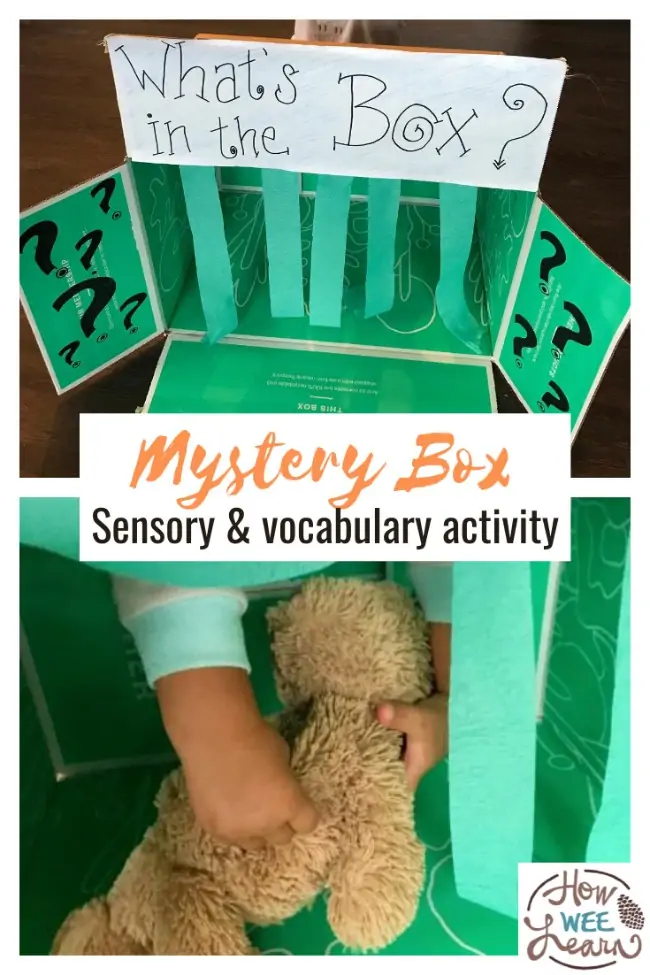 Mystery Sensory Box