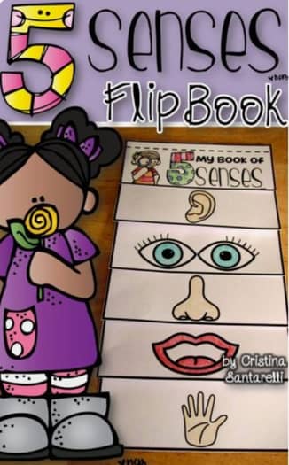 Five Senses Flip Book