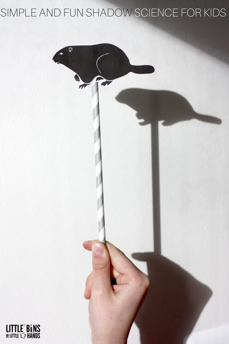 Shadow Puppet