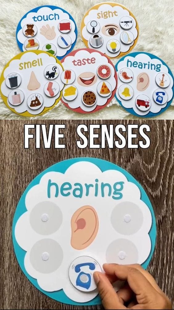 Sensory Sorting