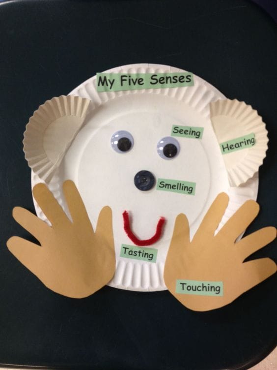 Five Senses Craft with Paper Plates