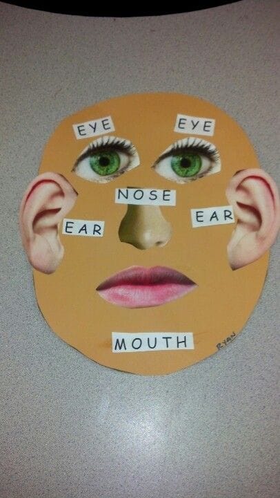 Cut and Paste Face Activity