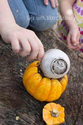 Growing Pumpkin in a Pumpkin