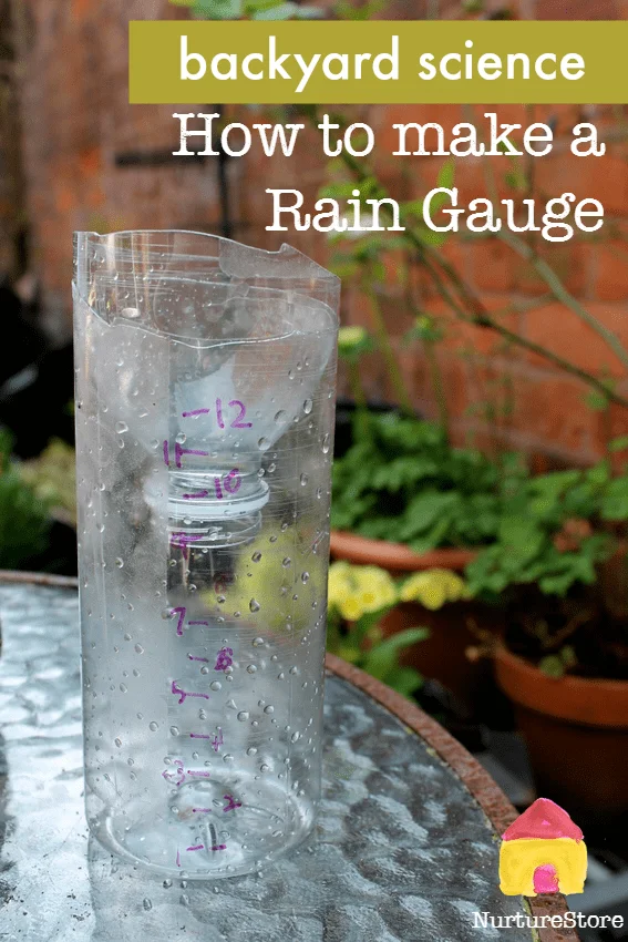 Make a Rain Gauge