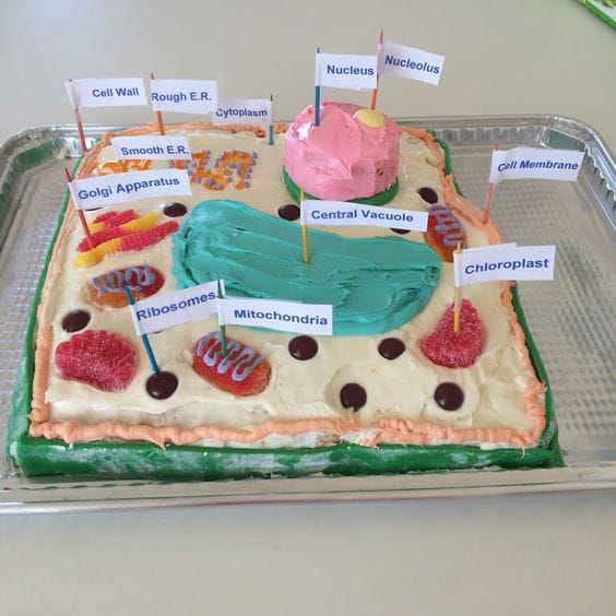 Plant Cell Cake Mode