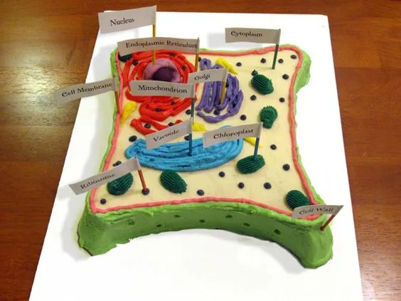 Mini Plant Cell Cake