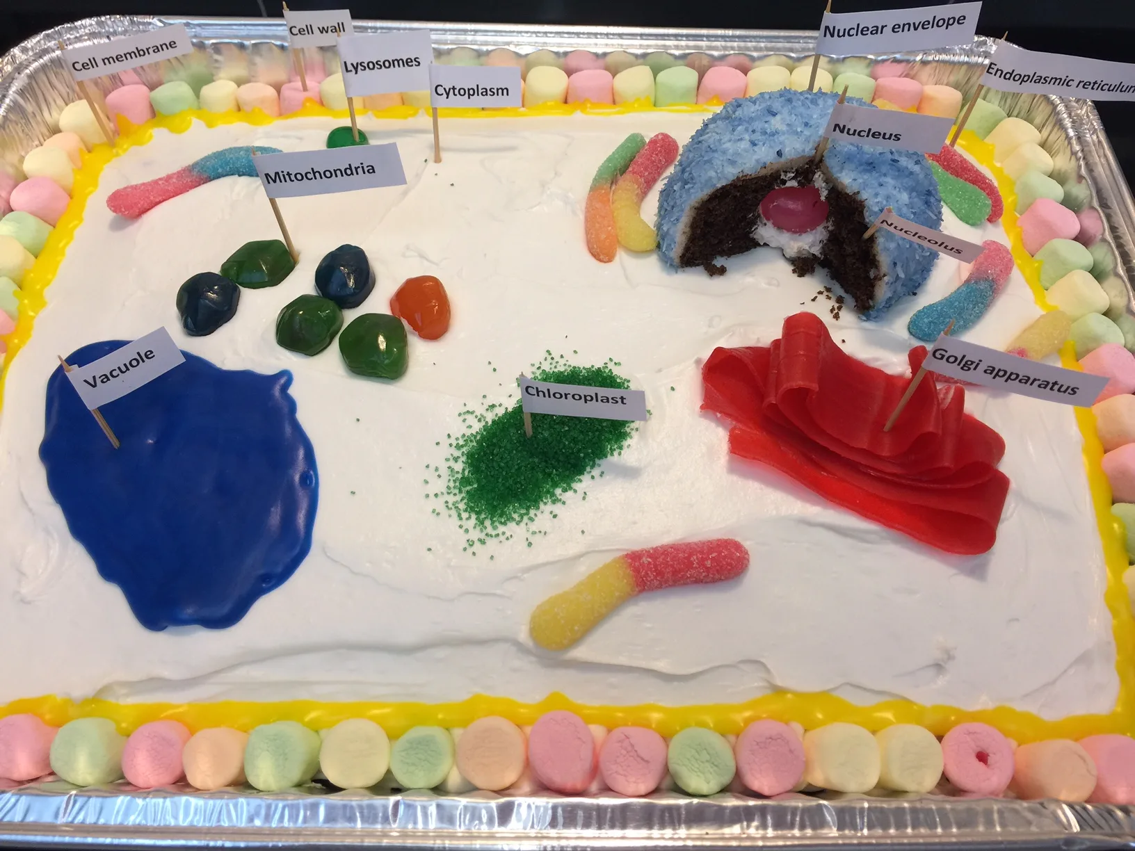 Made By Candies Plant Cell Model