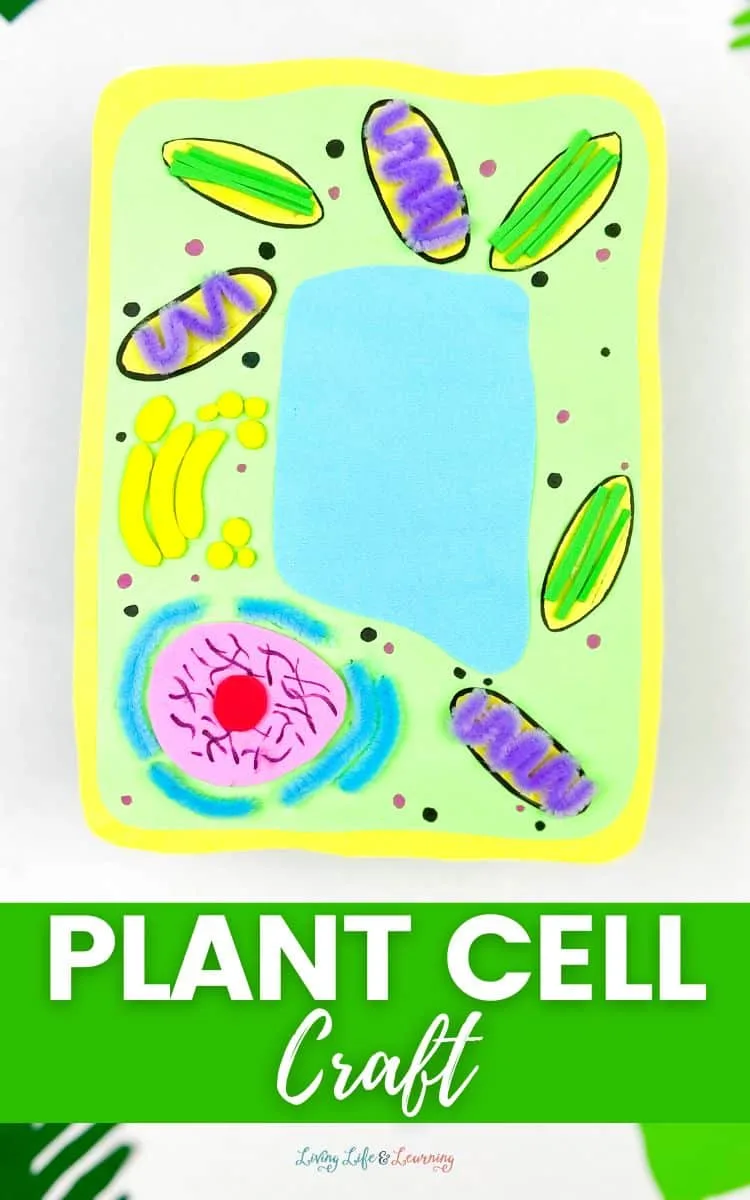 Plant Cell Craft