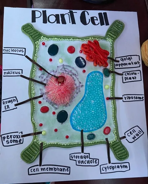 DIY Plant Cell Board