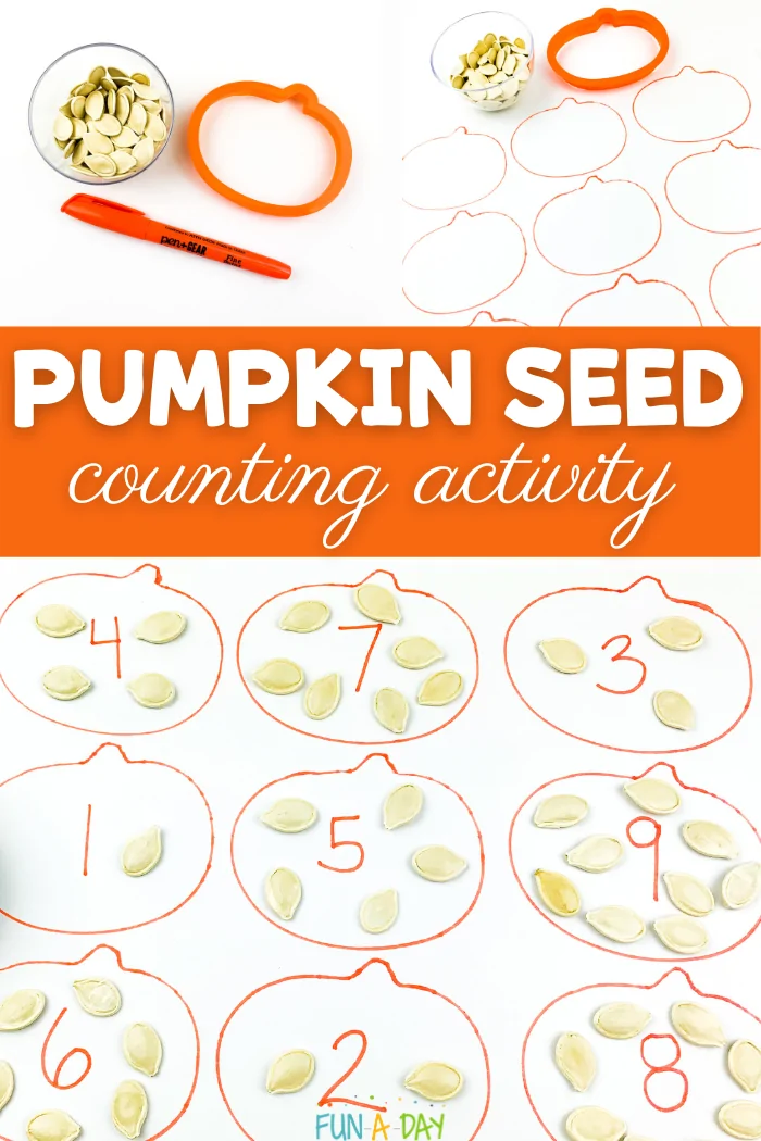 Simple Pumpkin Seed Counting Activity