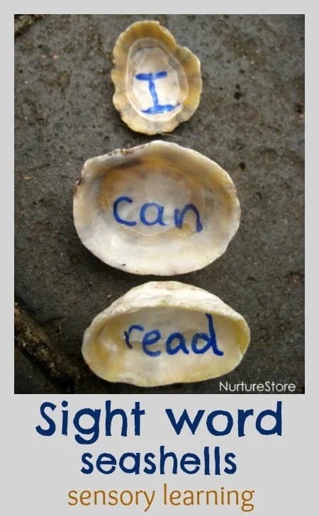 Sight Words Seashells Sensory Spellings