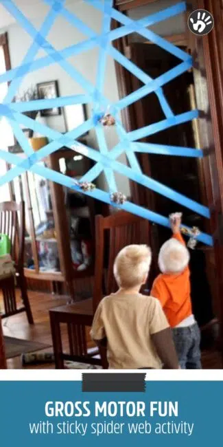 Sticky Spider Web Activity