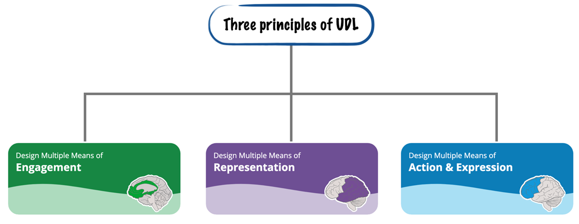 three principles of UDL