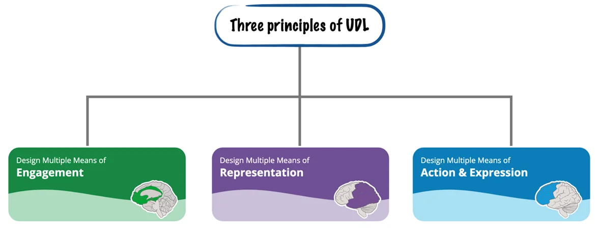 three principles of UDL