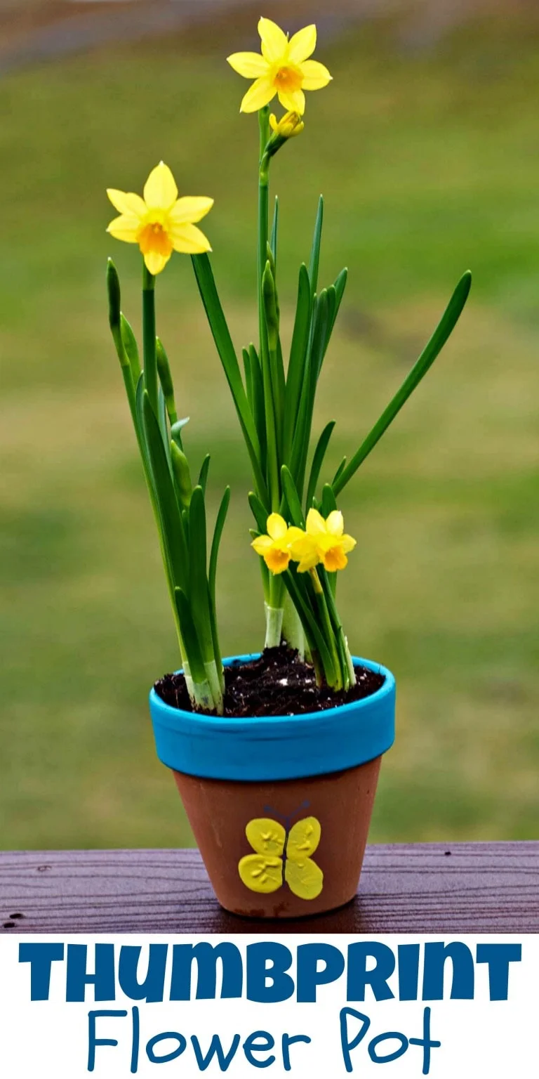 Thumbprint Flower Pot